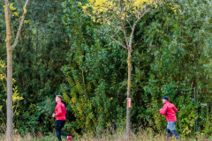 Foerderturm_Firmenlauf24_KGW-84