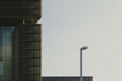DSC_6464